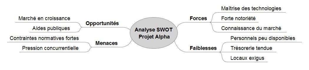 Exemple d'analyse SWOT