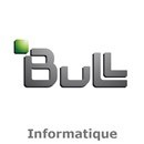 Logo_Bull