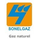 Logo_Sonelgaz